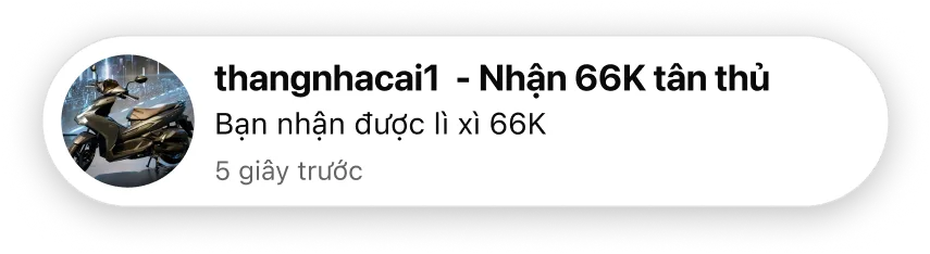 lixi1